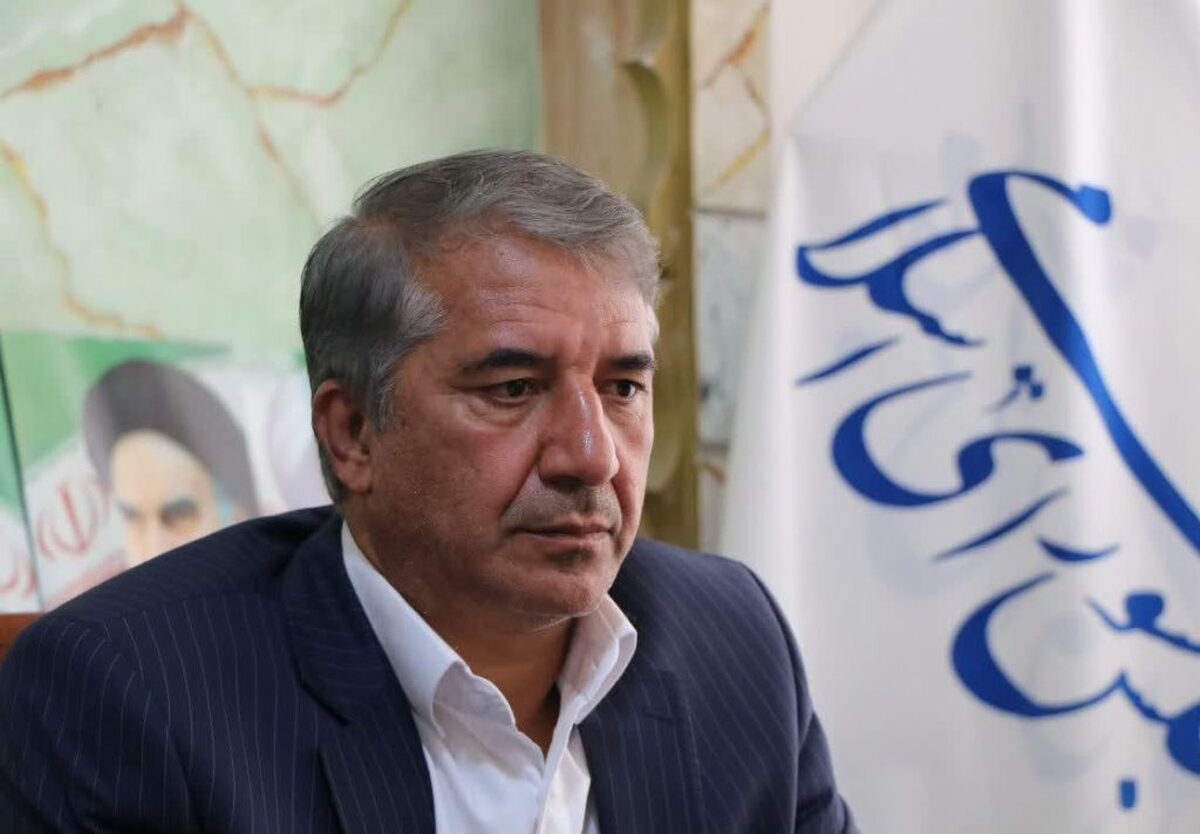 انارکی: بنای مجلس تعامل با دولت برای کاهش مشکلات است