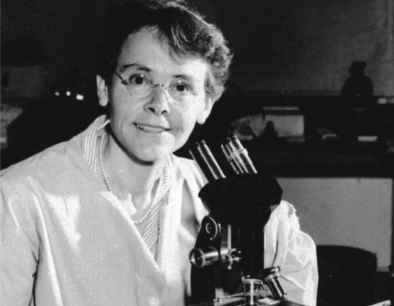 ۱۳ شهریور در دنیای علم چه خبر؟ ۱۳ شهریور در دنیای علم چه خبر؟