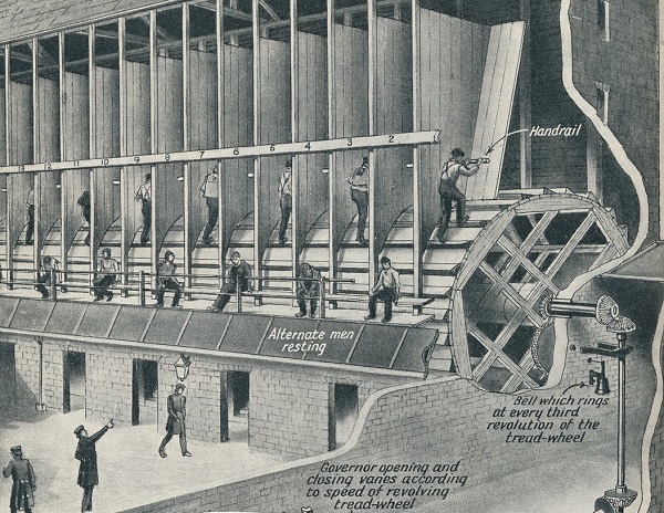 ۱۷ شهریور در دنیای علم چه خبر؟ ۱۷ شهریور در دنیای علم چه خبر؟