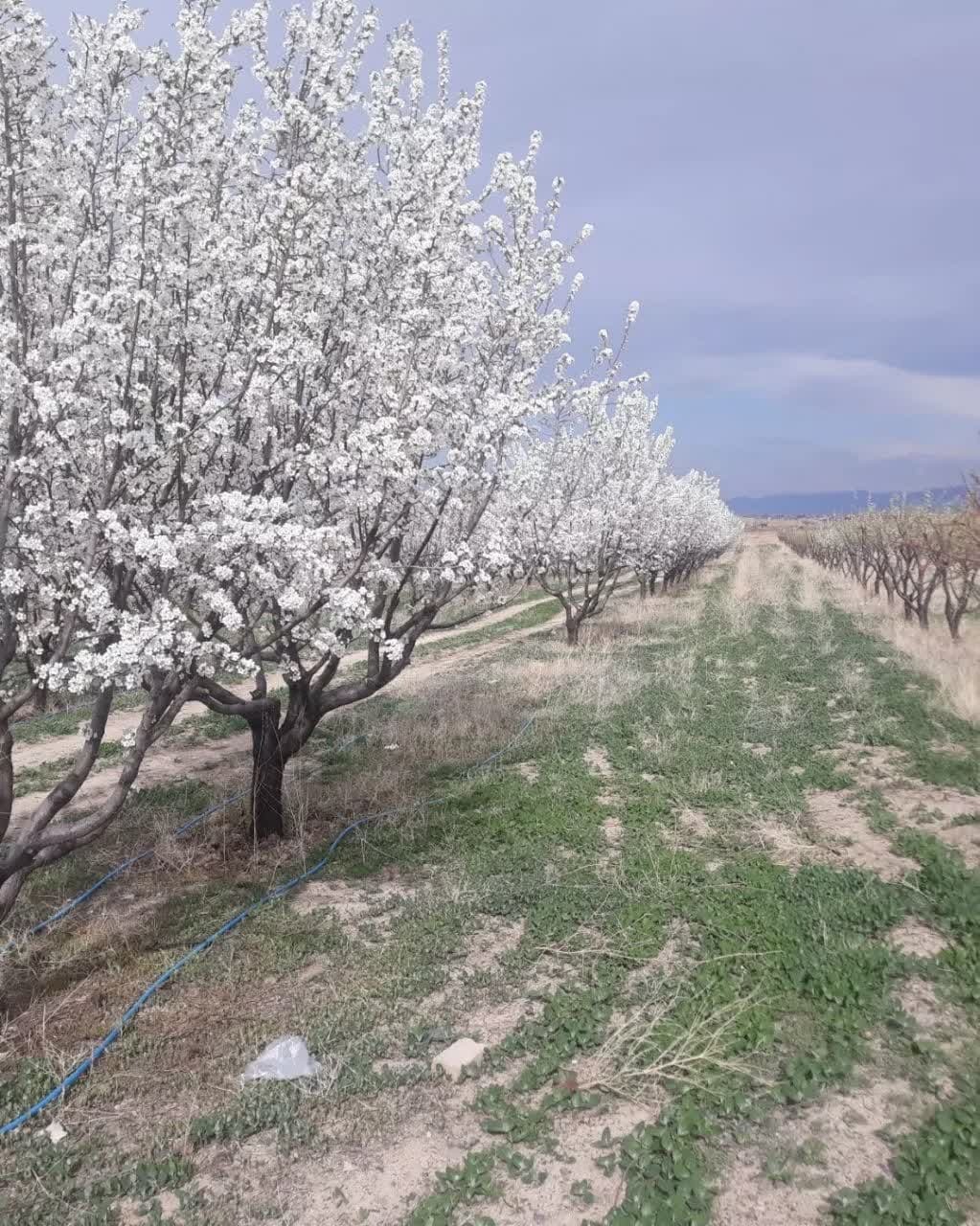 پیوند دانشگاه با کشاورزی و صنایع غذایی؛ دانش روز واحدهای تولیدی افزایش مییابد پیوند دانشگاه با کشاورزی و صنایع غذایی؛ دانش روز واحدهای تولیدی افزایش مییابد
