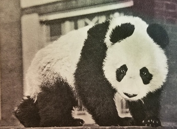 ۱۹ شهریور در دنیای علم چه خبر؟ ۱۹ شهریور در دنیای علم چه خبر؟