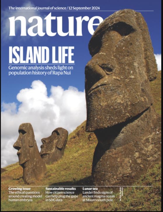 از رازهای جزیره ایستر تا مسیر جدید درمان OCD از رازهای جزیره ایستر تا مسیر جدید درمان OCD