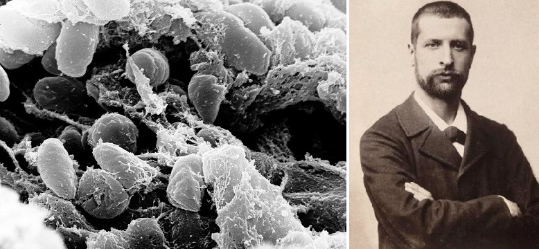 ۲ مهر در دنیای علم چه خبر؟ ۲ مهر در دنیای علم چه خبر؟