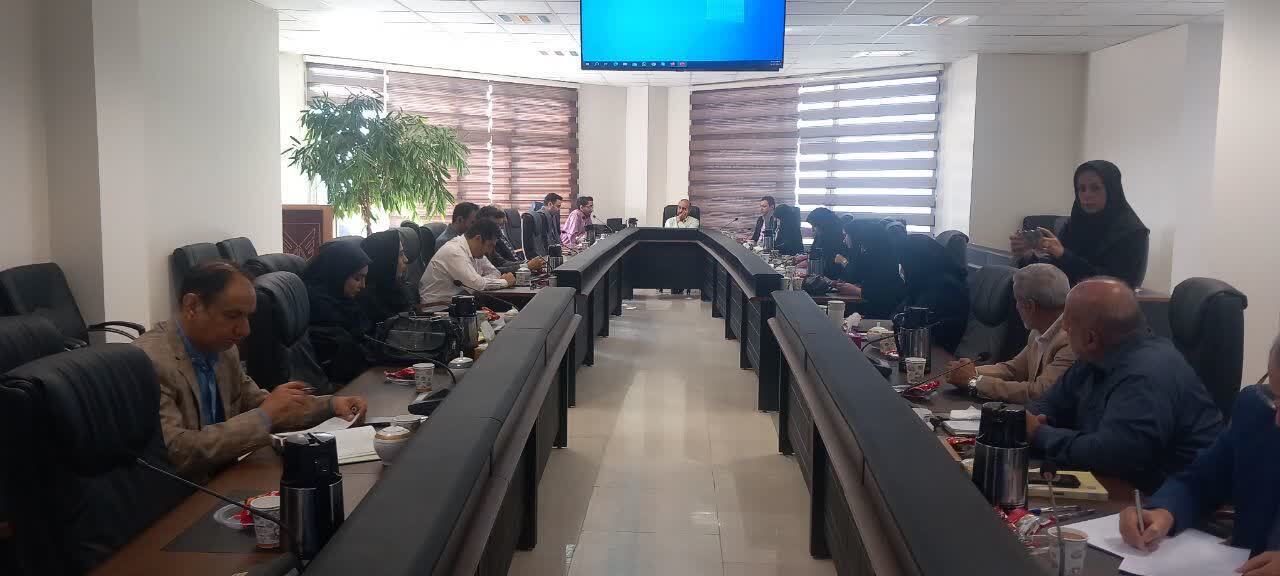 چرا تعبیر ۲۵ سال خانهنشینی امام علی(ع) نادرست است؟ چرا تعبیر ۲۵ سال خانهنشینی امام علی(ع) نادرست است؟