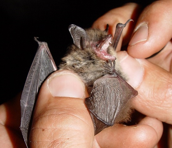 ۴ شهریور در دنیای علم چه خبر؟ ۴ شهریور در دنیای علم چه خبر؟