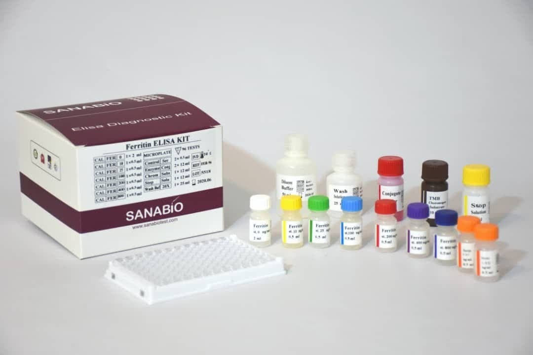 کنترل کیفی عملکرد دستگاه اتوکلاو با یک محصول دانشبنیان کنترل کیفی عملکرد دستگاه اتوکلاو با یک محصول دانشبنیان