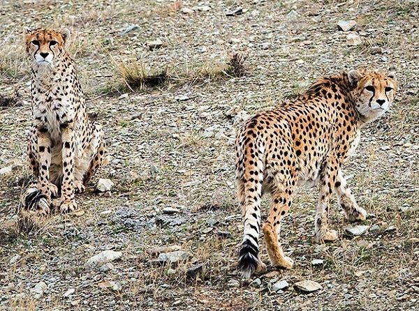 ۹ شهریور در دنیای علم چه خبر؟ ۹ شهریور در دنیای علم چه خبر؟