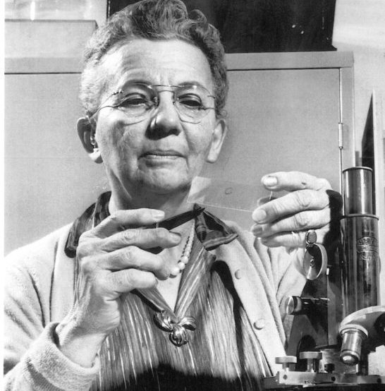 ۱۵ مهر در دنیای علم چه خبر؟ ۱۵ مهر در دنیای علم چه خبر؟