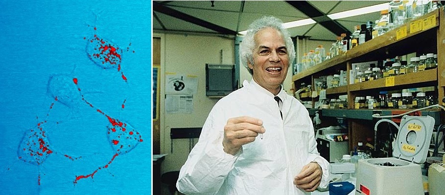 ۱۵ مهر در دنیای علم چه خبر؟ ۱۵ مهر در دنیای علم چه خبر؟