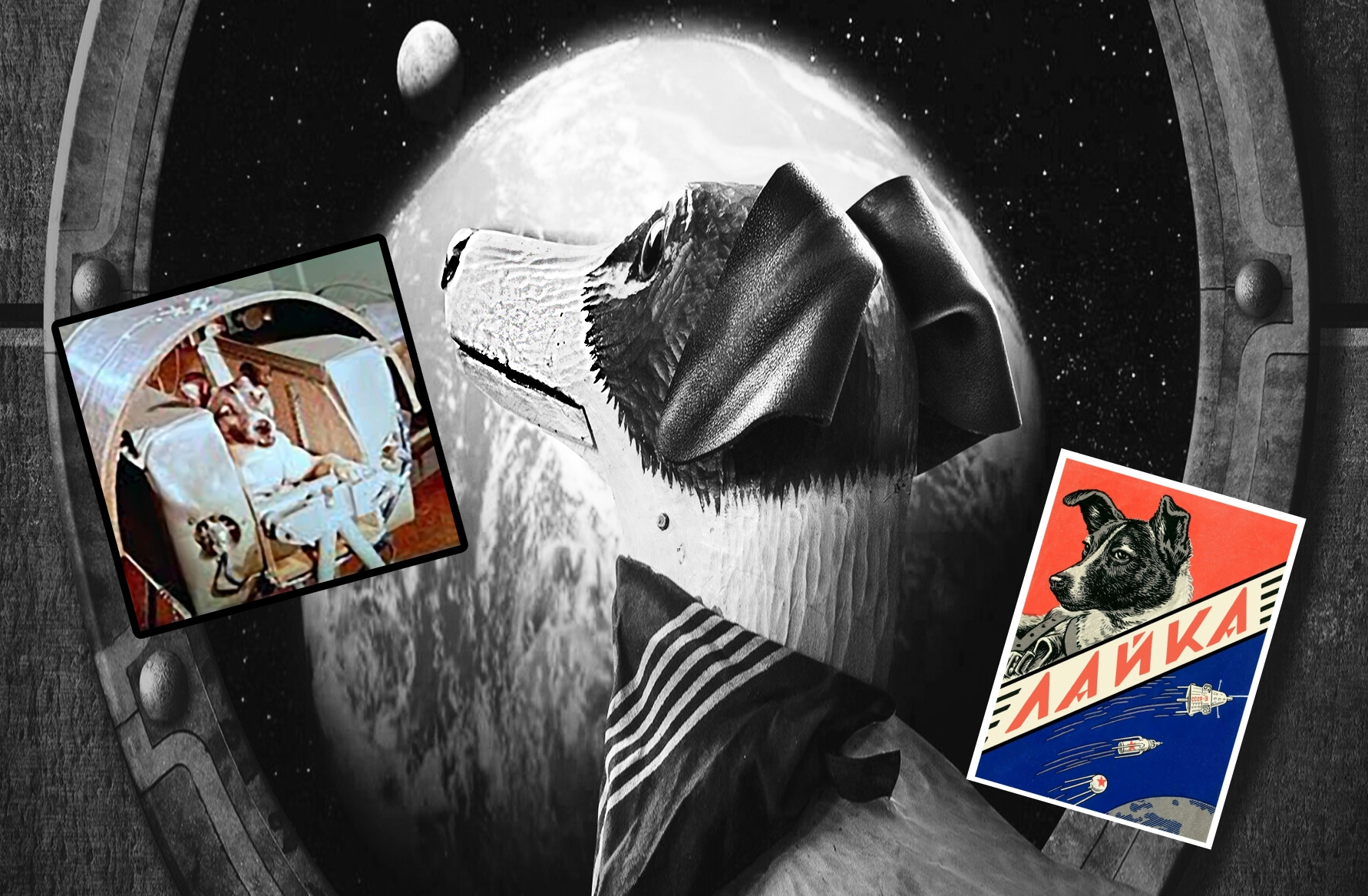 انسان نخستین موجود زندهای نیست که از جو زمین خارج شد! انسان نخستین موجود زندهای نیست که از جو زمین خارج شد!