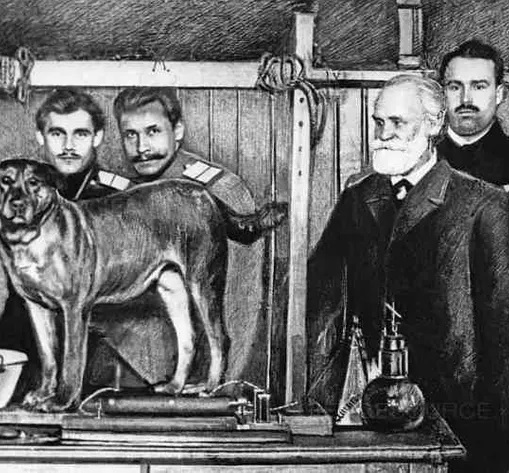 ۶ مهر در دنیای علم چه خبر؟ ۶ مهر در دنیای علم چه خبر؟