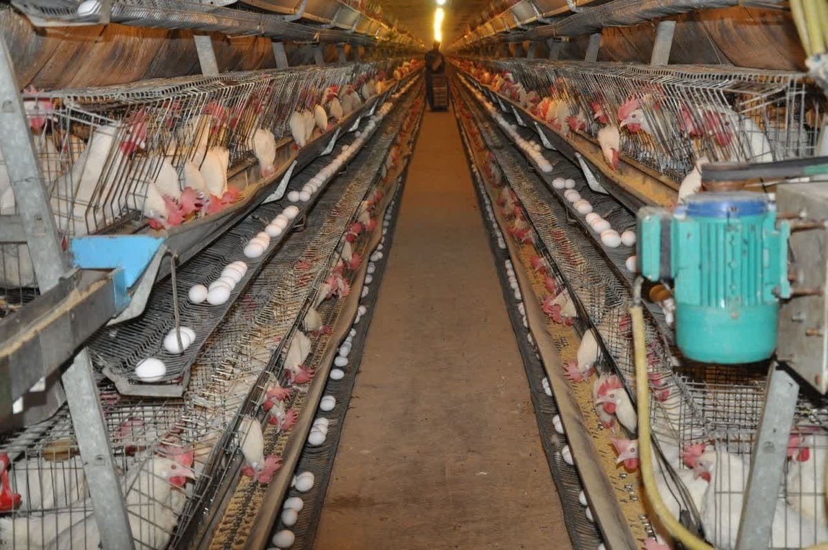 دانشگاه آزاد اسلامی واحد دانشگاه آزاد اسلامی واحد