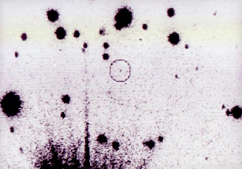 ۲۵ مهر در دنیای علم چه خبر؟ ۲۵ مهر در دنیای علم چه خبر؟