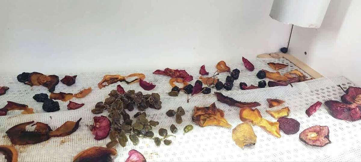 کاهش مصرف انرژی و ترویج فناوریهای پاک؛ کلکتور هوای خورشیدی ساخته شد
