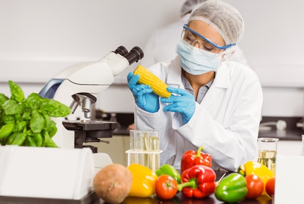 چه کاره بشم؛ شاید مهندس فناوری غذا! چه کاره بشم؛ شاید مهندس فناوری غذا!