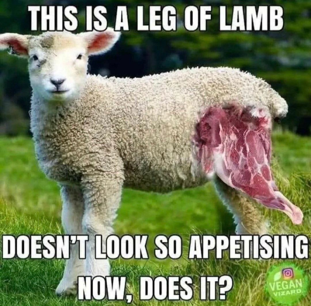 همه حیوانات برابرند، اما برخی برابرترند!/ آیا گیاهخواری واقعاً از کشتن حیوانات جلوگیری میکنند؟ همه حیوانات برابرند، اما برخی برابرترند!/ آیا گیاهخواری واقعاً از کشتن حیوانات جلوگیری میکنند؟