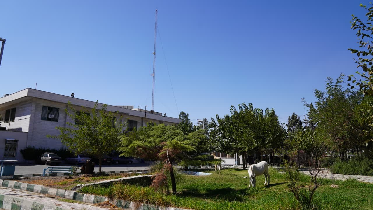 «سرای نوآوری» حلقه وصل دانشگاه و صنعت/ واحدهای فناور علوم دامپزشکی پذیرش میشوند «سرای نوآوری» حلقه وصل دانشگاه و صنعت/ واحدهای فناور علوم دامپزشکی پذیرش میشوند