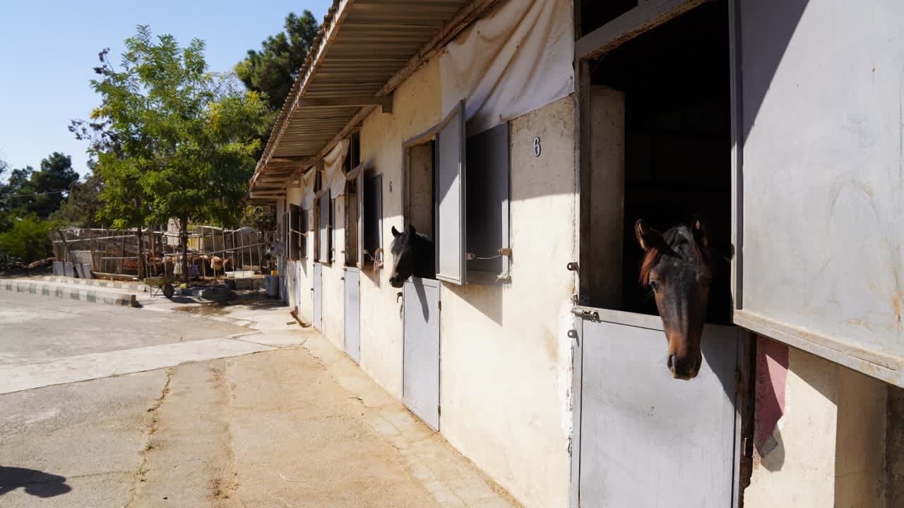 «سرای نوآوری» حلقه وصل دانشگاه و صنعت/ واحدهای فناور علوم دامپزشکی پذیرش میشوند «سرای نوآوری» حلقه وصل دانشگاه و صنعت/ واحدهای فناور علوم دامپزشکی پذیرش میشوند