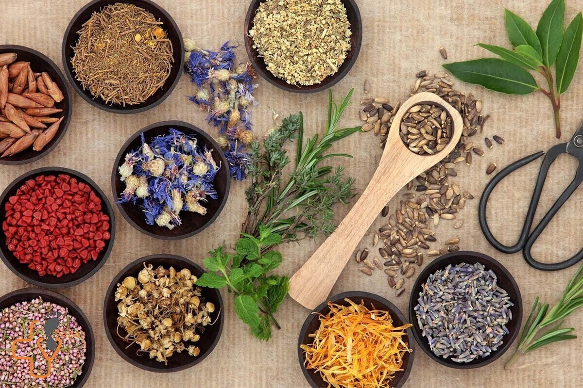 استفاده فناورانه از گیاهان دارویی در مدیریت زخمهای حاد و مزمن