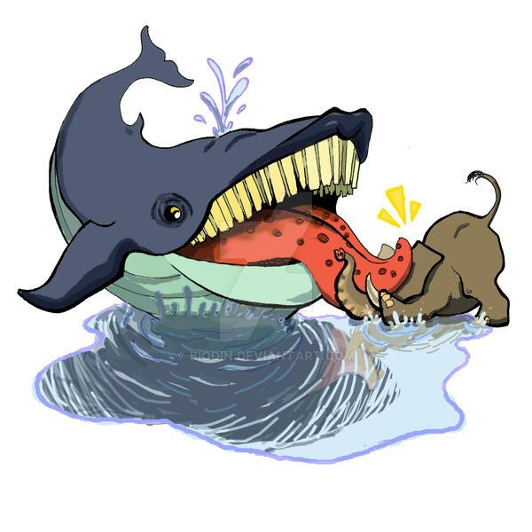 زبان نهنگ آبی بزرگترین جاندار جهان نزدیک به ۳ تن وزن دارد! زبان نهنگ آبی بزرگترین جاندار جهان نزدیک به ۳ تن وزن دارد!