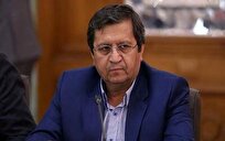 وزیر اقتصاد: مشکل ترخیص کالای واردکنندگان با کمک بانک مرکزی رفع میشود