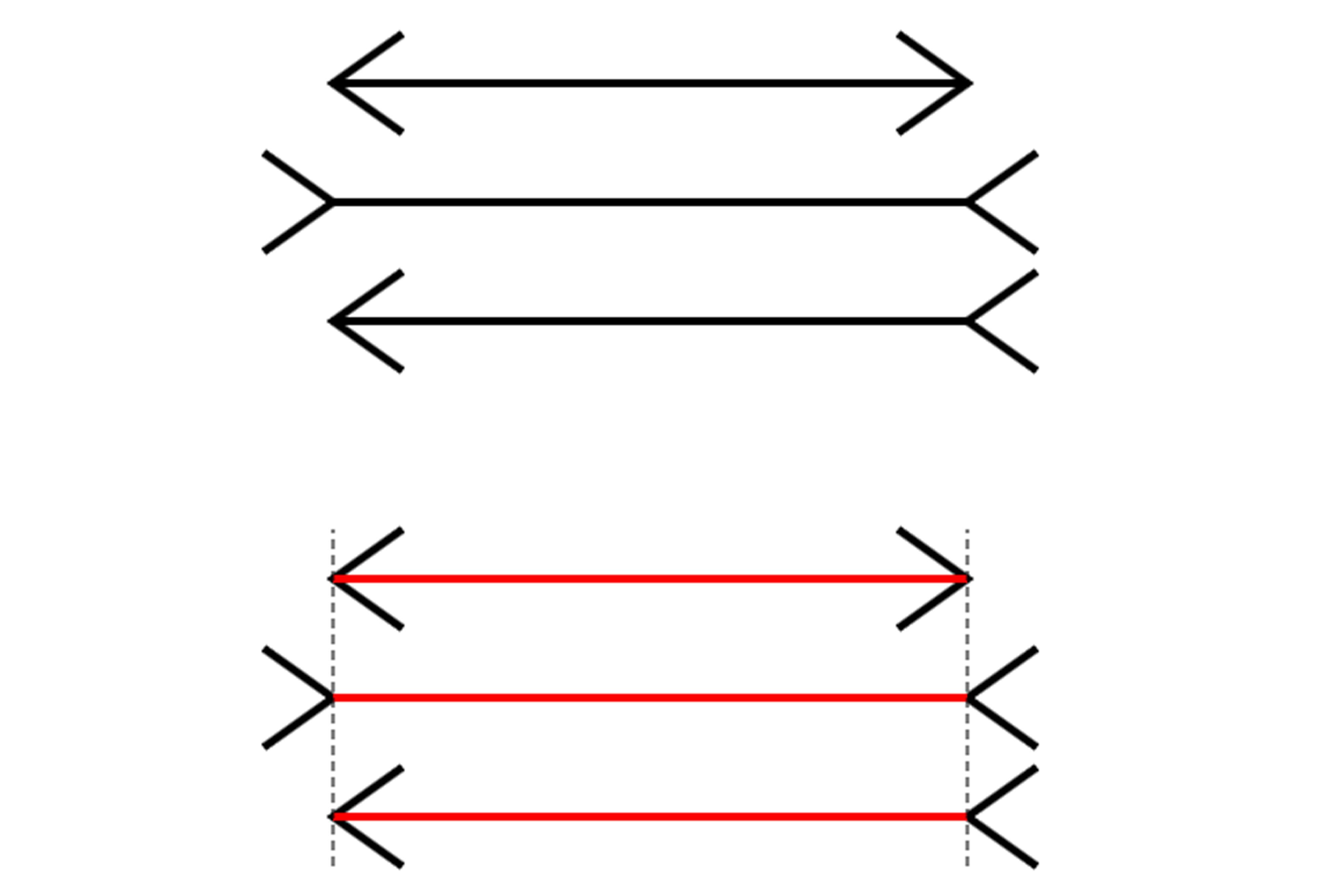 خطای دید چطور مغز را فریب میدهد؟ خطای دید چطور مغز را فریب میدهد؟