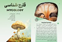 شناسایی قارچها به روشهای مختلف