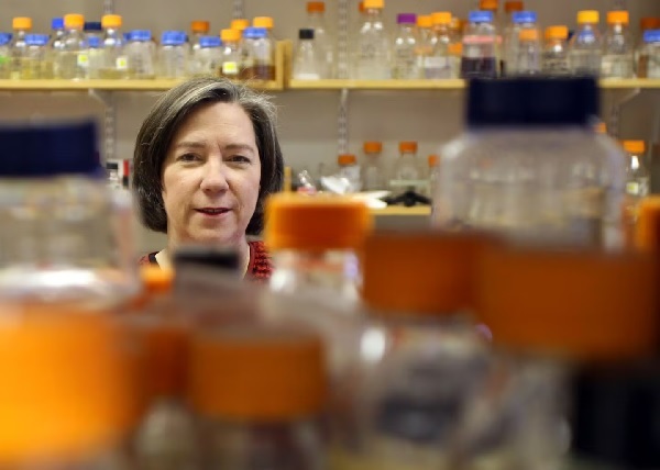 ۶ آبان در دنیای علم چه خبر؟ ۶ آبان در دنیای علم چه خبر؟