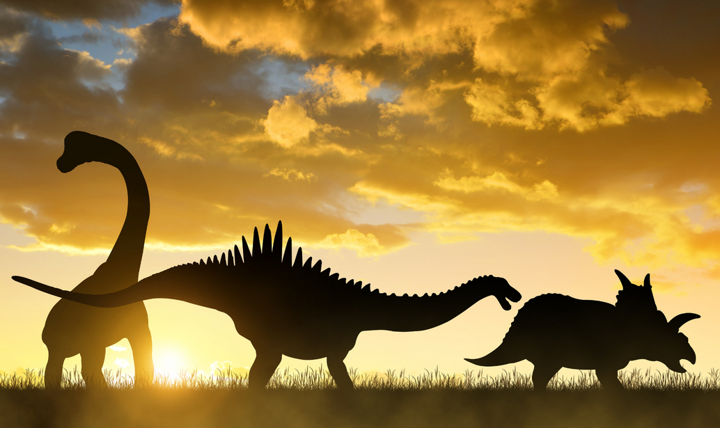 رازهای دایناسورها؛ اکتشافات جدید از زندگی دایناسورها به ما چه میگوید؟ رازهای دایناسورها؛ اکتشافات جدید از زندگی دایناسورها به ما چه میگوید؟