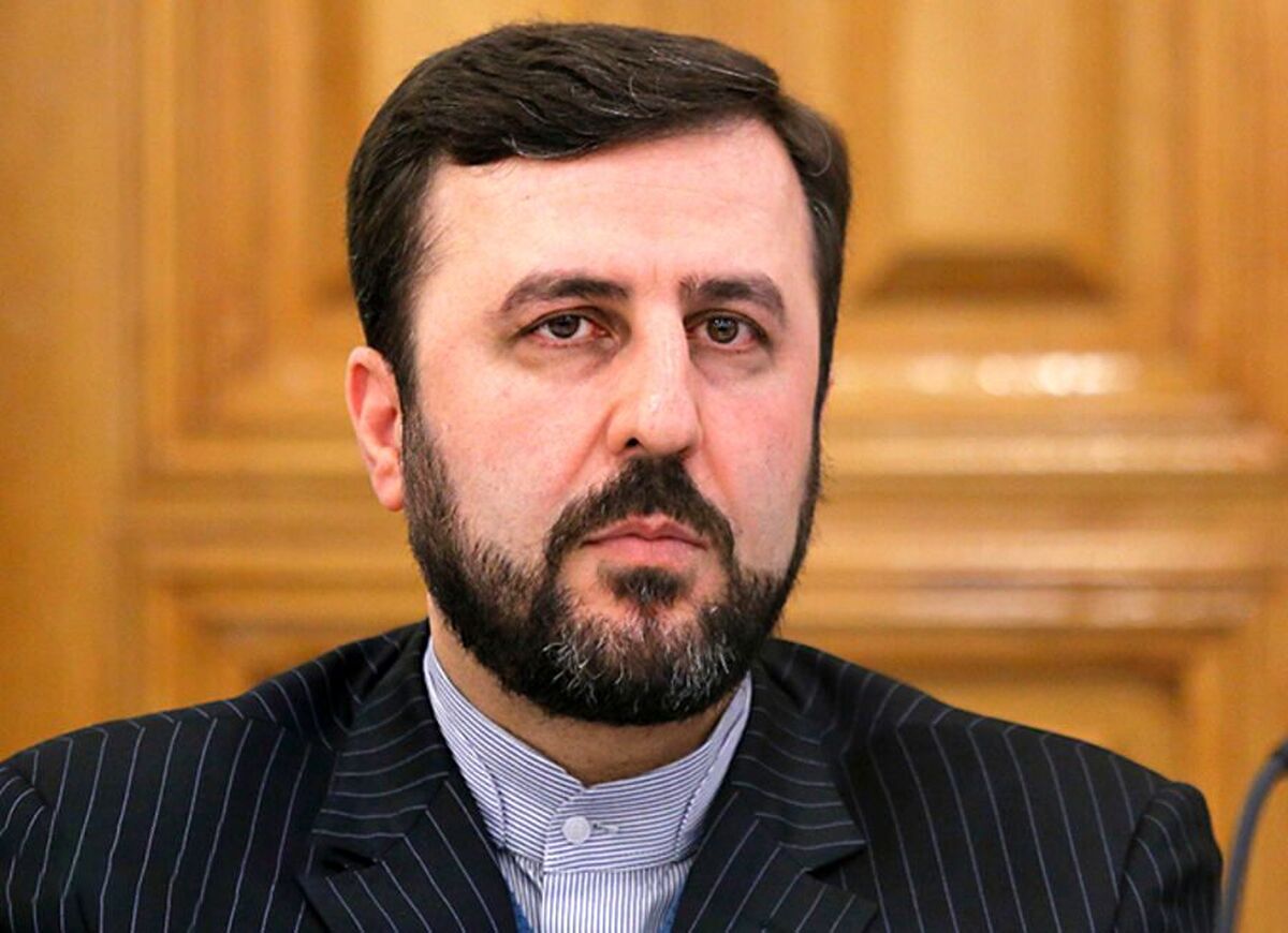 غریبآبادی: گروسی با پزشکیان دیدار میکند