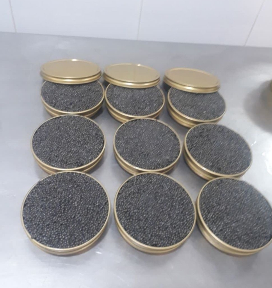 برنامه محققان دانشگاهی برای تولید کِرِم خاویار و تهیه چرم از پوست ماهی برنامه محققان دانشگاهی برای تولید کِرِم خاویار و تهیه چرم از پوست ماهی