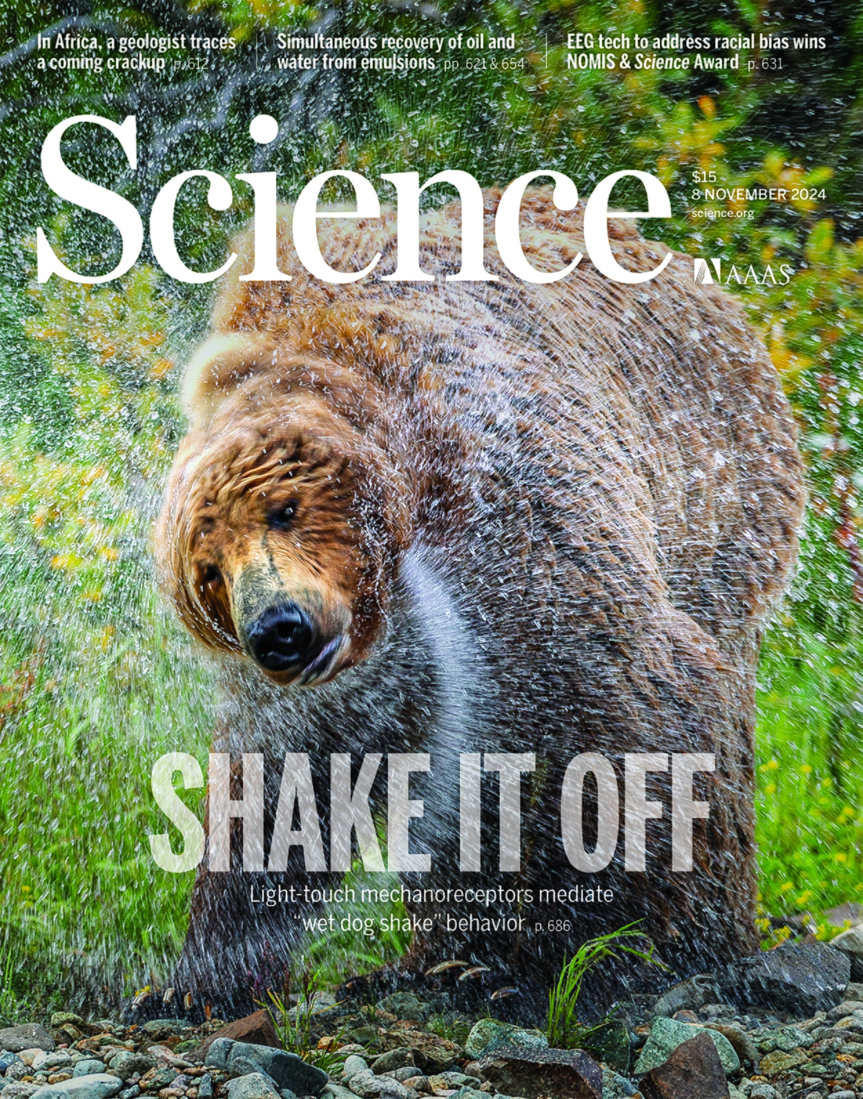 هفته اول نوامبر/ از «اولین ابزارهای نیاکان ما» تا «شناسایی جو سیاراتی در ورای منظومه شمسی» هفته اول نوامبر/ از «اولین ابزارهای نیاکان ما» تا «شناسایی جو سیاراتی در ورای منظومه شمسی»