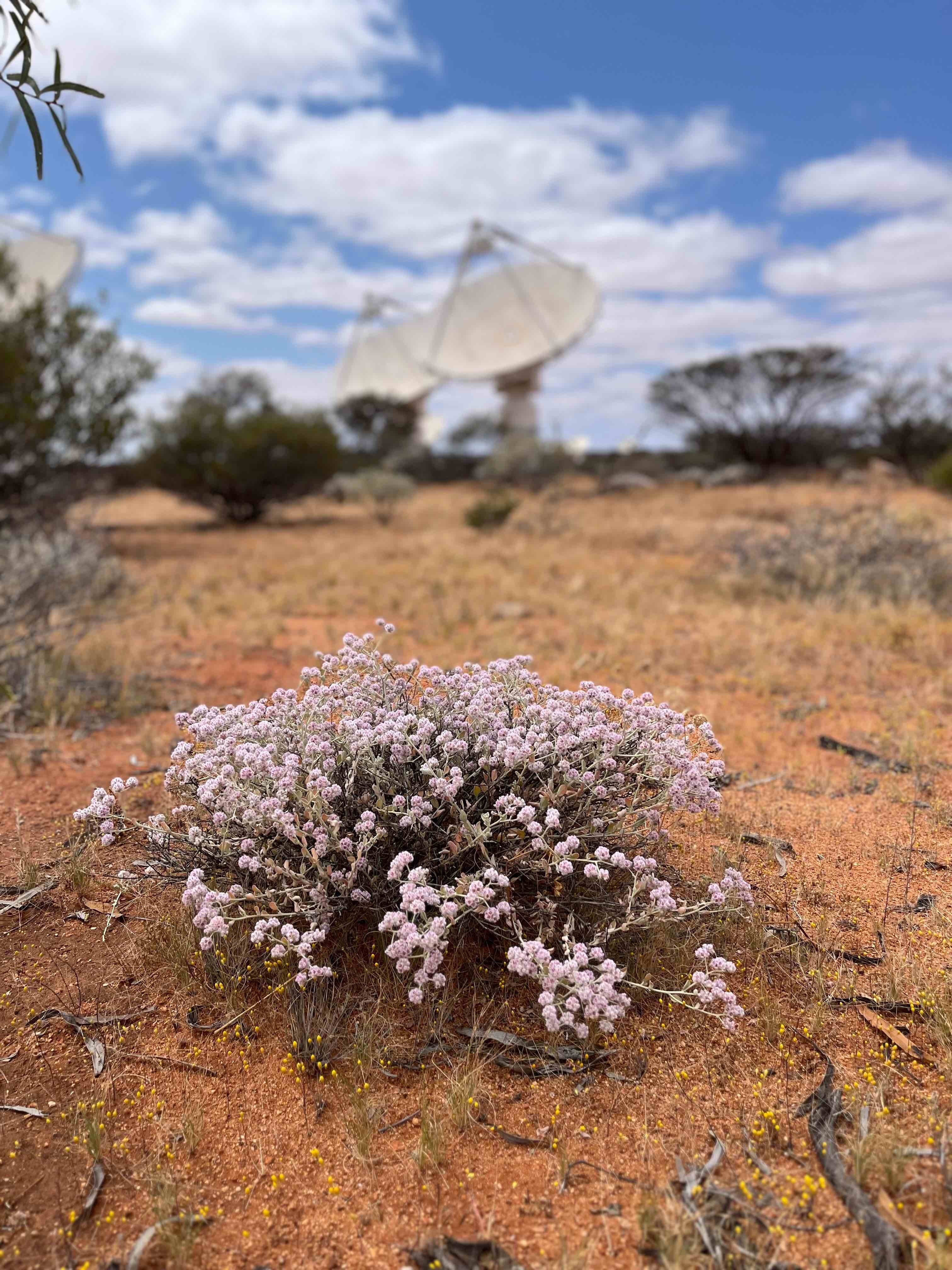 تصاویر نجومی ششم آبان (۲۷ اکتبر) تصاویر نجومی ششم آبان (۲۷ اکتبر)