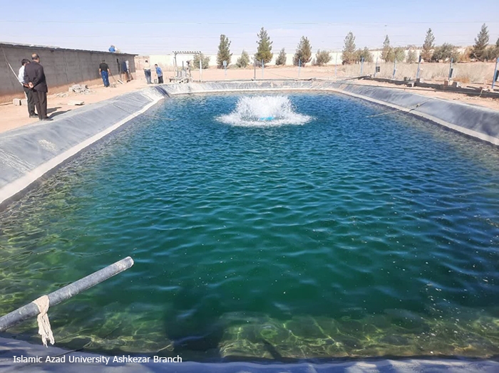 رهاسازی هزار و ۵۰۰ قطعه بچه ماهی قزل آلا در استخر دانشگاه آزاد اشکذر رهاسازی هزار و ۵۰۰ قطعه بچه ماهی قزل آلا در استخر دانشگاه آزاد اشکذر