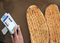 از تبعیض طبقاتی تا تخصیص یارانه نان به مردم/ چرا نان گرانتر از قیمت مصوب فروخته میشود