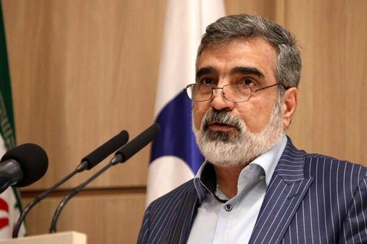 کمالوندی: قطعنامه اخیر نسبت به قبلی رای کمتری داشت راهاندازی سانتریفیوژهای جدید را حتی برای امروز نگذاشتیم