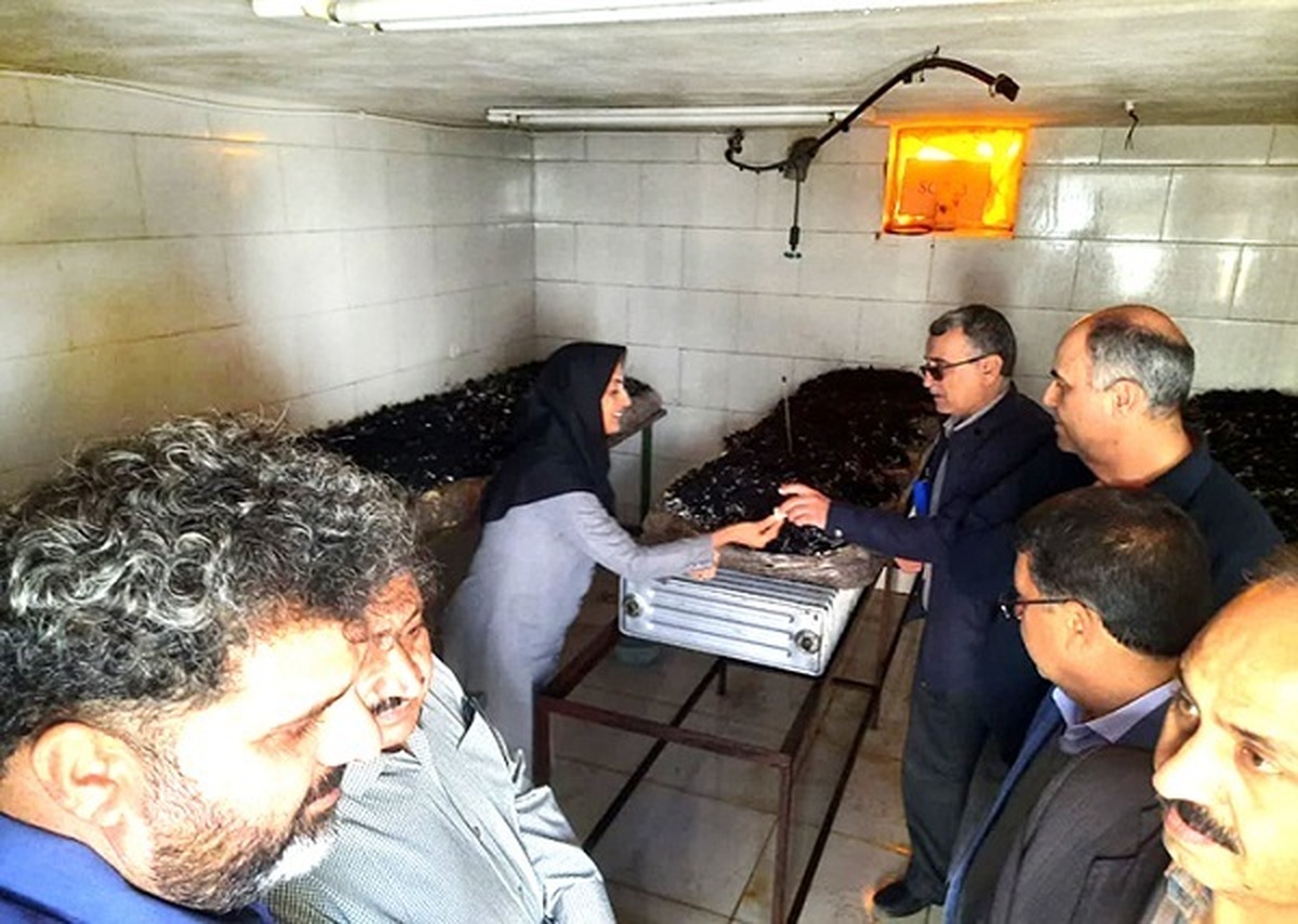 بازدید نمایندگان دانشگاه آزاد از طرحهای کشاورزی و شیلات واحد اشکذر