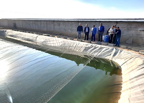 بازدید نمایندگان دانشگاه آزاد از طرحهای کشاورزی و شیلات واحد اشکذر بازدید نمایندگان دانشگاه آزاد از طرحهای کشاورزی و شیلات واحد اشکذر