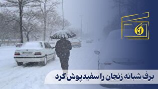 برف شبانه زنجان را سفیدپوش کرد
