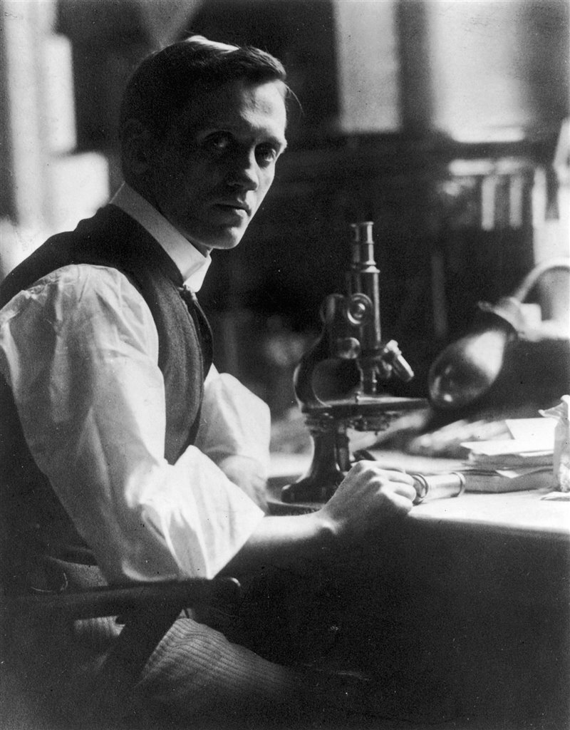 مهمترین یافتن اتفاقی تاریخ| ظرف کپکزده آقای فلمینگ! مهمترین یافتن اتفاقی تاریخ| ظرف کپکزده آقای فلمینگ!