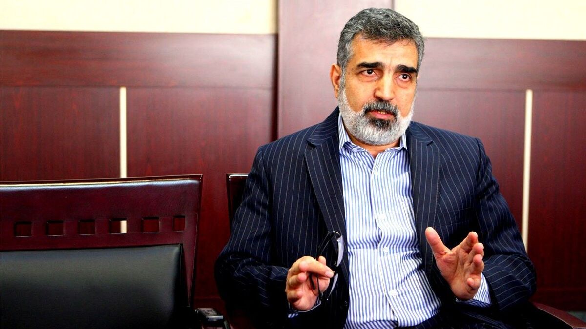 کمالوندی: فرصت برای تعامل و همکاری باقی است/ تروئیکا منطقی باشد