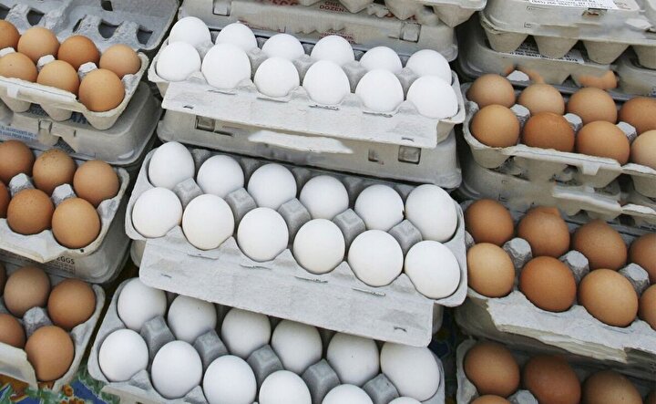 قیمت تخم مرغ با افزایش ۱۰۰ درصدی هزینهها معادلسازی نشده/ تخم مرغ گران میشود؟