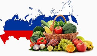 چرا مبادلات ایران با روسیه ناچیز است؟