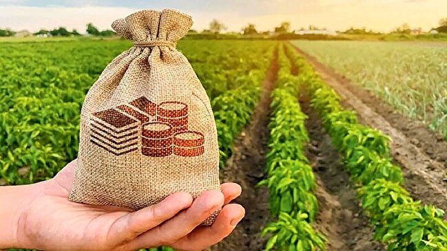 کشت فراسرزمینی؛ پاسخی مناسب به کم آبی