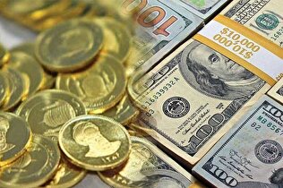 دلیل افزایش قیمت سکه و ارز در ۱۴۰۳/ سال جدید نقدینگی سرگردان مدیریت میشود؟