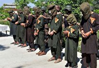 تیم تروریستی وابسته به داعش در کردستان متلاشی شد