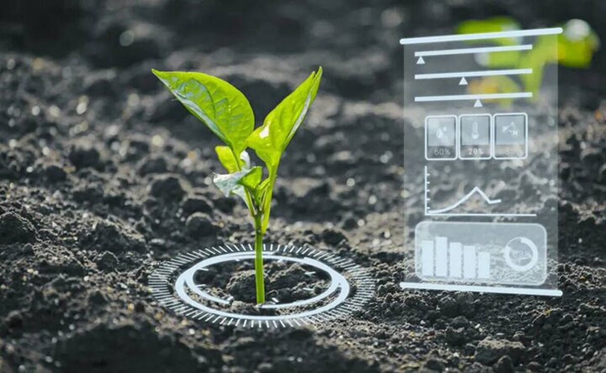 کیفیت خدمات الکترونیک وزارت جهاد کشاورزی ۵۳ رتبه پیشرفت کرد