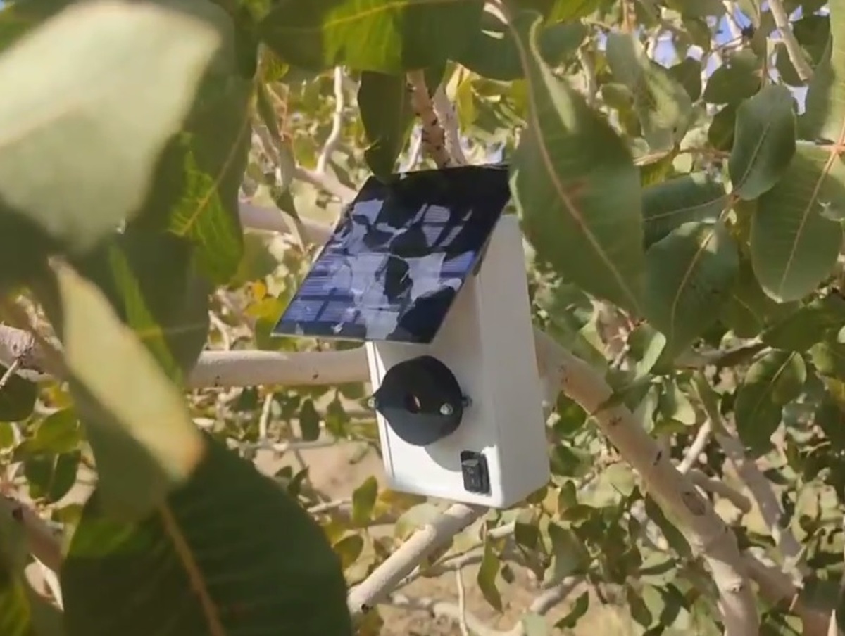 تا خبر خوب برای باغداران تا خبر خوب برای باغداران