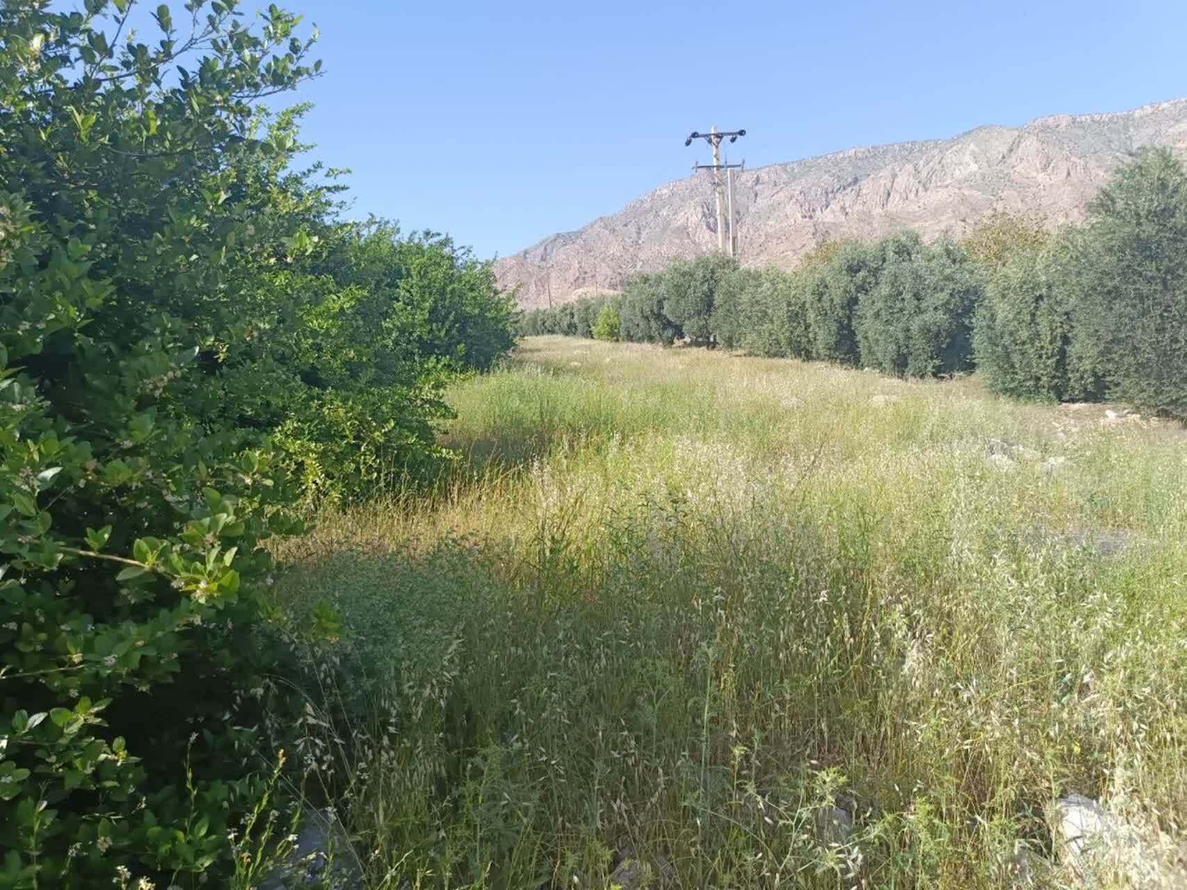 آغاز فصل جدیدی در زیستبوم کشاورزی کهگیلویه و بویراحمد؛ توسعه پایدار کشاورزی با اتکا به ظرفیتهای محلی آغاز فصل جدیدی در زیستبوم کشاورزی کهگیلویه و بویراحمد؛ توسعه پایدار کشاورزی با اتکا به ظرفیتهای محلی