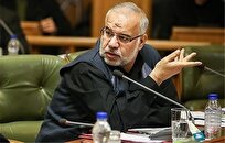 دادکان مدرک دارد به قوه قضائیه اطلاع دهد/ما هم مخالف رانت هستیم